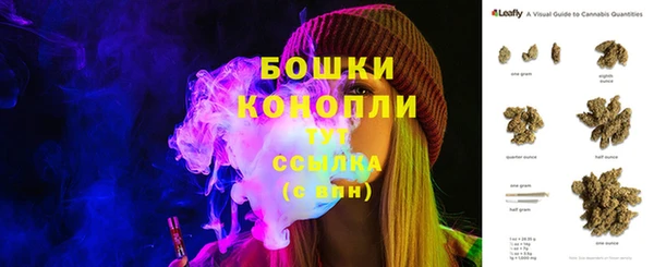 стафф Михайловск