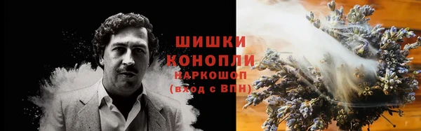 ГАЛЛЮЦИНОГЕННЫЕ ГРИБЫ Заводоуковск