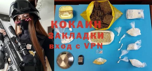 ГАЛЛЮЦИНОГЕННЫЕ ГРИБЫ Заводоуковск