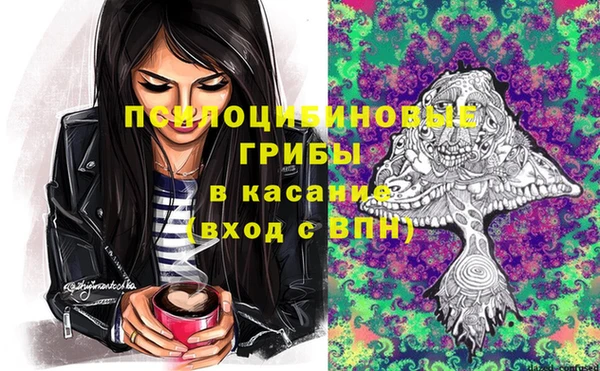 ГАЛЛЮЦИНОГЕННЫЕ ГРИБЫ Заводоуковск