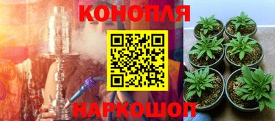 индика Ипатово