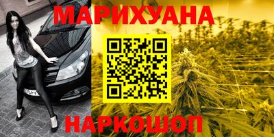 прущие грибы Изобильный