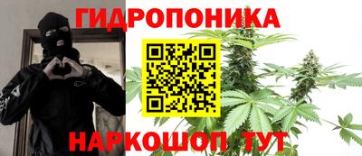 индика Ипатово