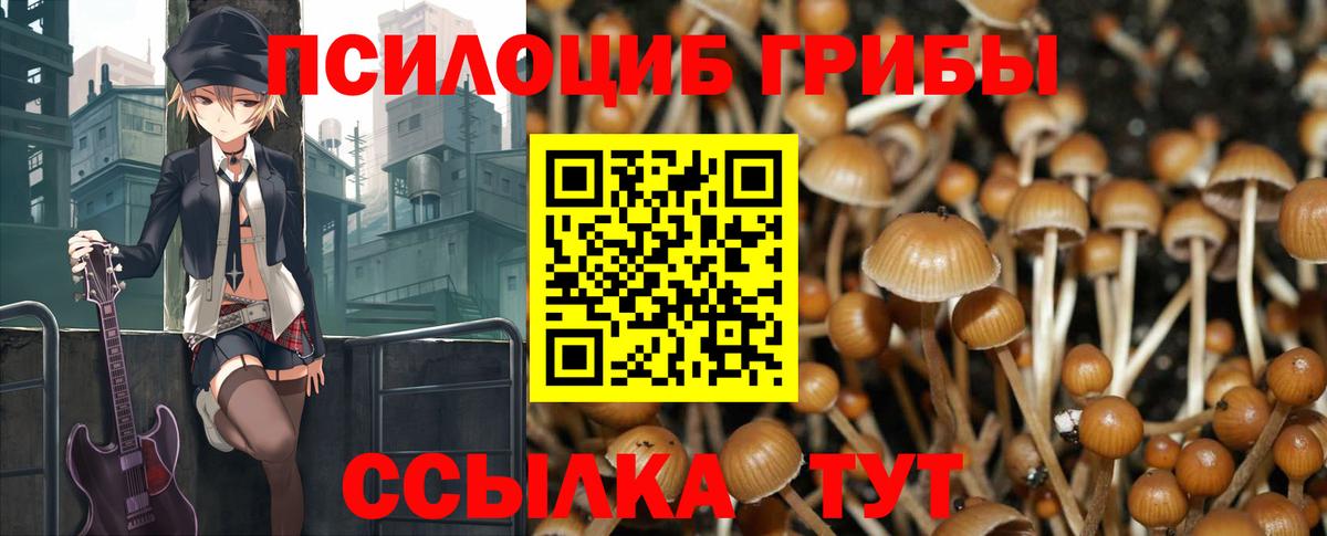 Галлюциногенные грибы прущие грибы Лениногорск