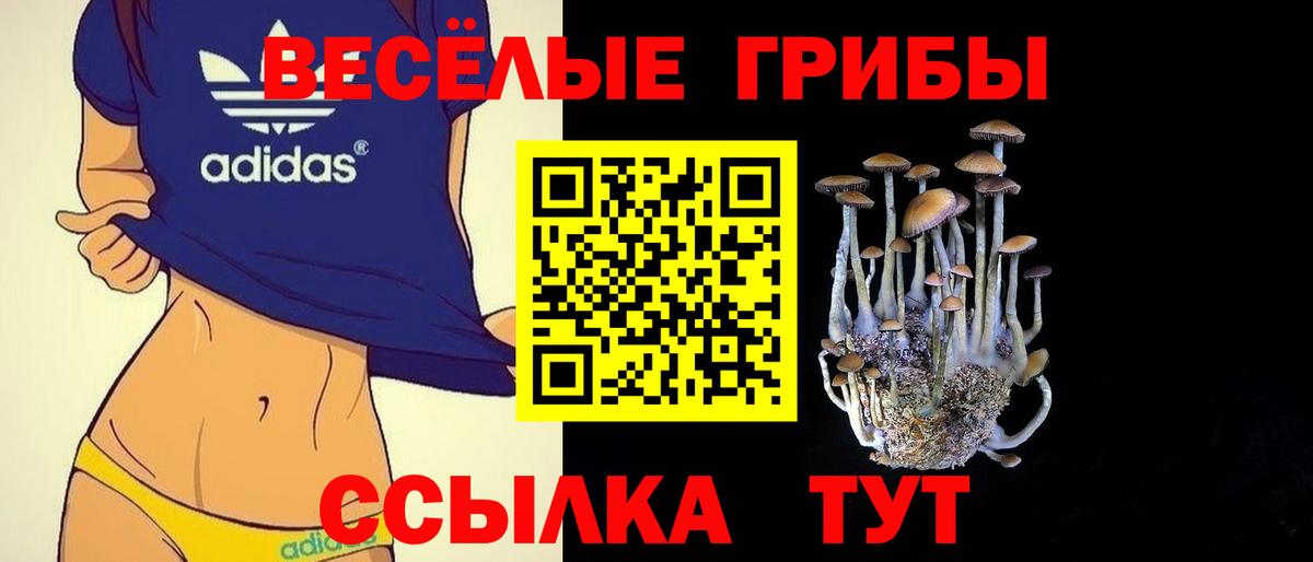 Лениногорск  даркнет сайт  Вход с VPN  Псилоцибиновые грибы GOLDEN TEACHER 